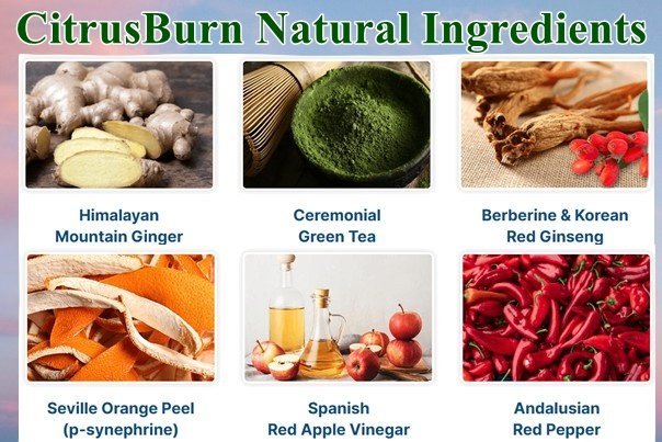 Citrusburn Ingredients